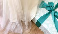 Bio Brautkleidreinigung, Bioreinigung, Hochzeitskleid reinigen, Brautkleid reinigen